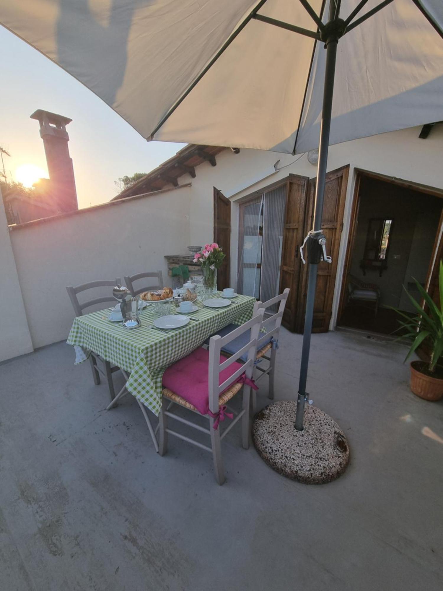 Casa Aloe *